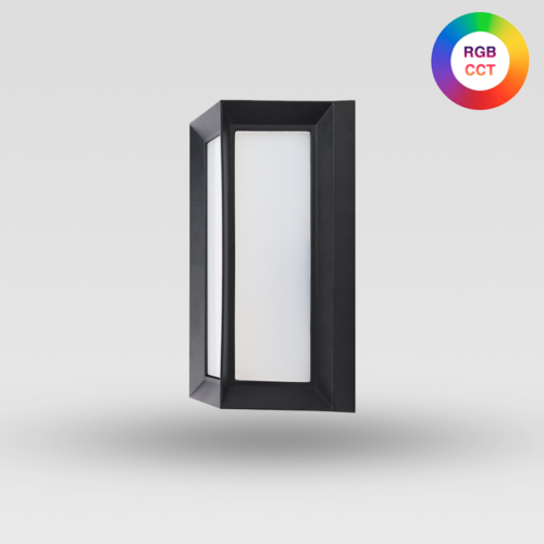 Outdoor RGB CCT LED Light